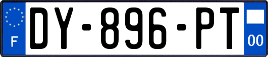 DY-896-PT