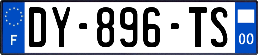 DY-896-TS