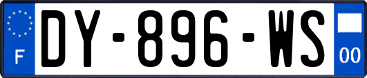 DY-896-WS