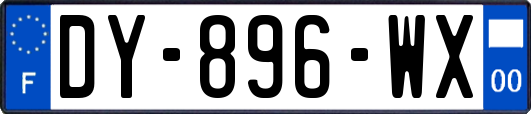 DY-896-WX