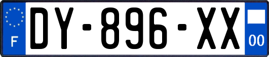 DY-896-XX