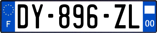 DY-896-ZL