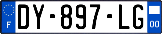 DY-897-LG