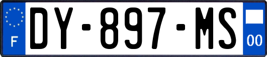 DY-897-MS