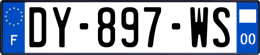 DY-897-WS