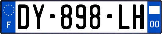 DY-898-LH