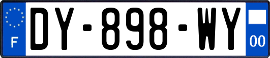 DY-898-WY