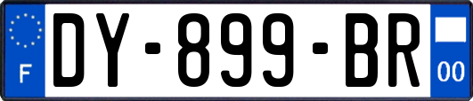 DY-899-BR