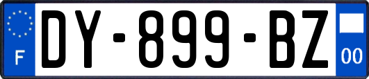 DY-899-BZ