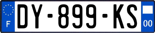 DY-899-KS