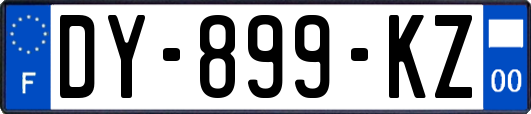 DY-899-KZ