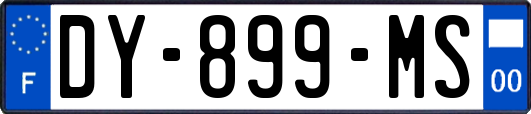 DY-899-MS