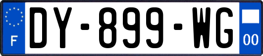 DY-899-WG