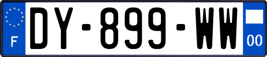 DY-899-WW