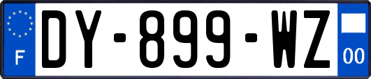 DY-899-WZ