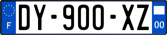 DY-900-XZ