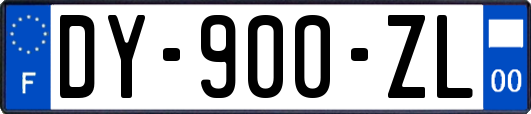 DY-900-ZL