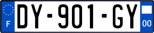 DY-901-GY