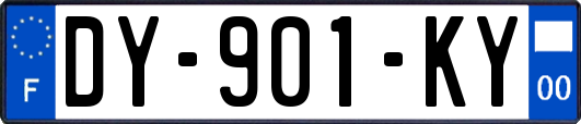 DY-901-KY