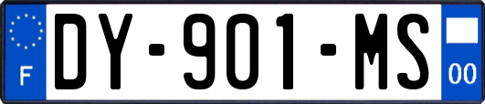 DY-901-MS