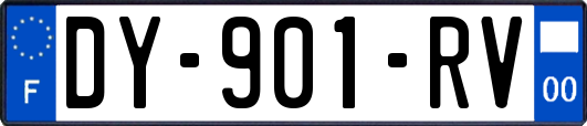 DY-901-RV