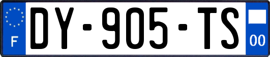 DY-905-TS