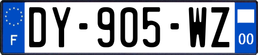 DY-905-WZ