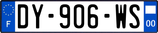 DY-906-WS