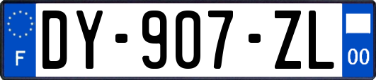 DY-907-ZL