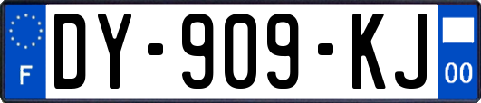 DY-909-KJ