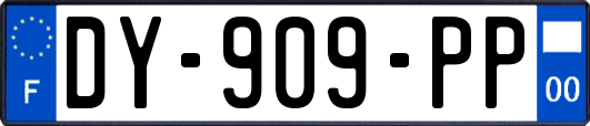 DY-909-PP