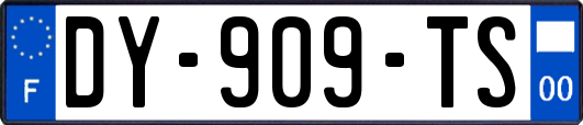 DY-909-TS