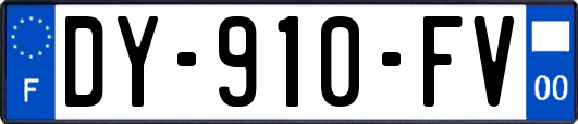 DY-910-FV