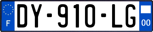 DY-910-LG