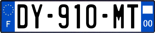 DY-910-MT