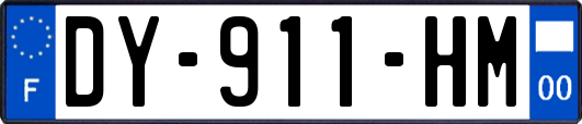 DY-911-HM