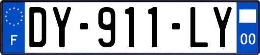 DY-911-LY