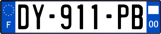 DY-911-PB