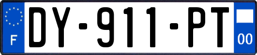DY-911-PT