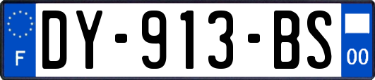 DY-913-BS