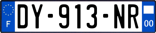 DY-913-NR