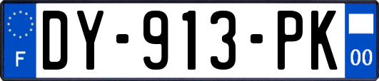 DY-913-PK