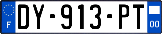 DY-913-PT