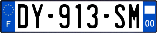 DY-913-SM