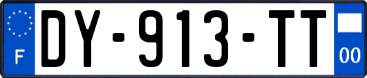 DY-913-TT