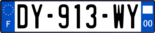 DY-913-WY