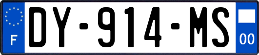 DY-914-MS