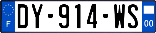 DY-914-WS