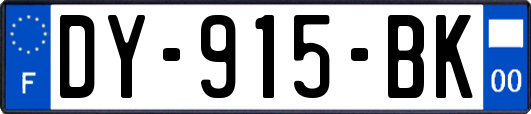 DY-915-BK