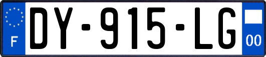 DY-915-LG